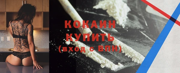винт Абаза
