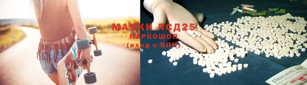 винт Абаза