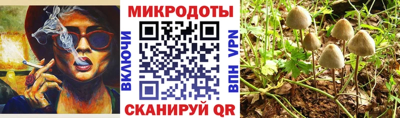Галлюциногенные грибы Cubensis  как найти наркотики  Азнакаево 